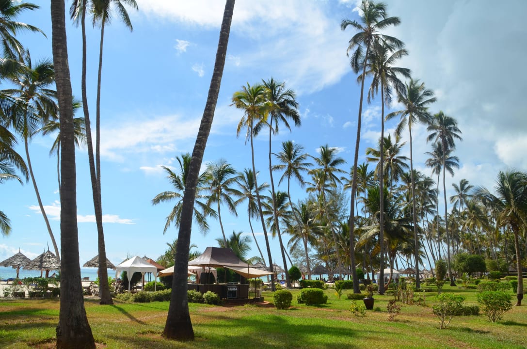 Garten Richtung Meer/ Strand TUI Blue Bahari Zanzibar
