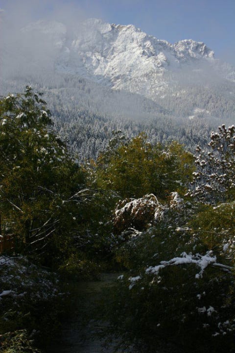 Ausblick vor dem Hotel Löwe Hotel Löwe