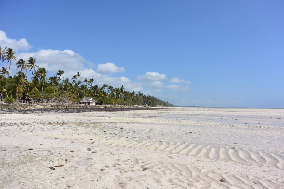 Ebbe TUI Blue Bahari Zanzibar