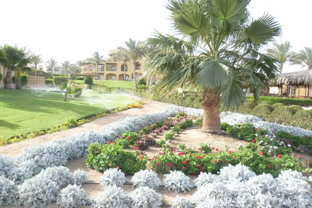 Beet mit Geranien Jaz Solaya