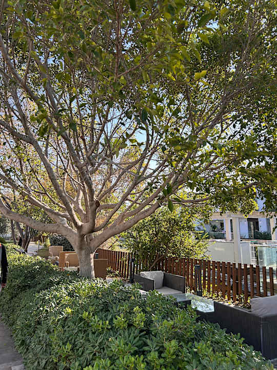 Gartenanlage Jiva Beach Resort