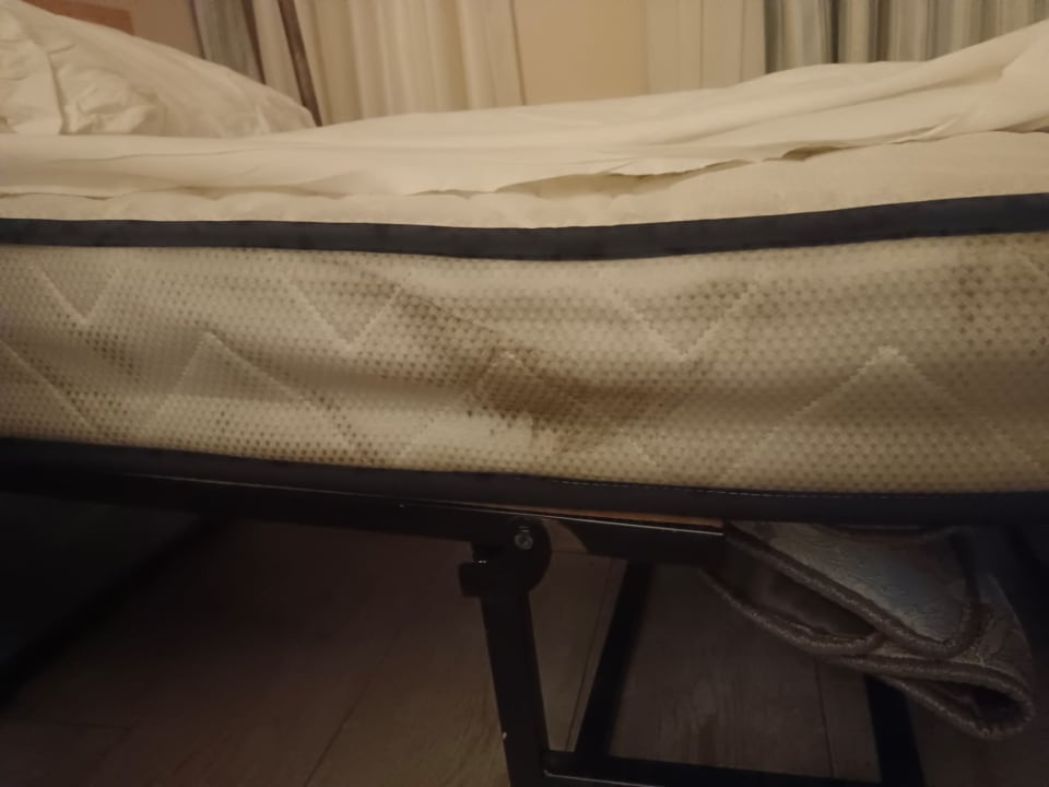 Zimmer Asteria Family Belek