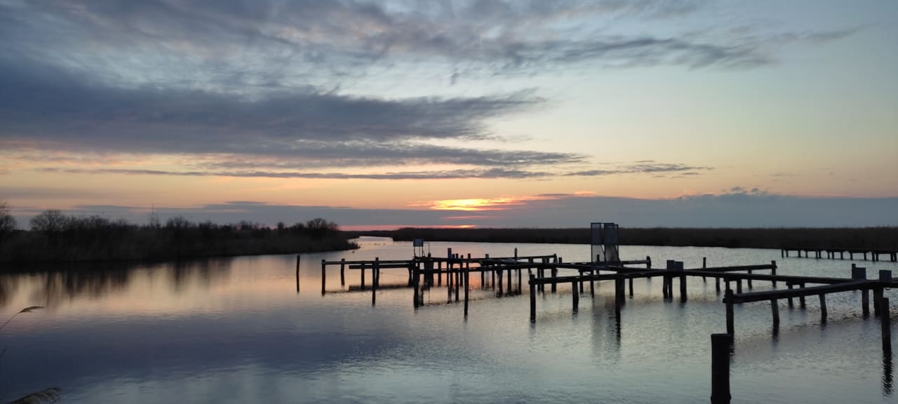Ausblick Seehotel Rust