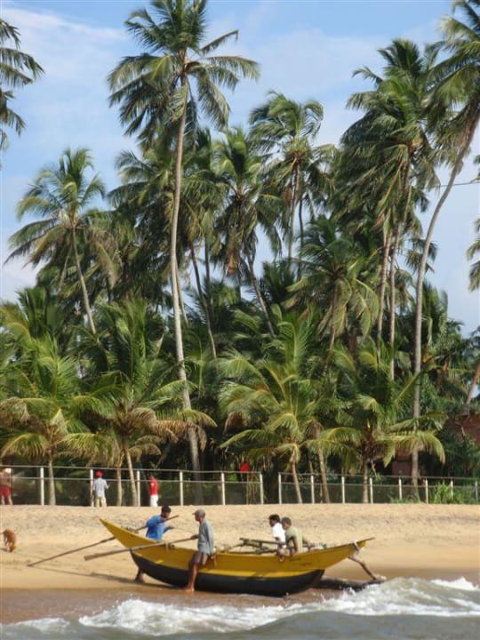 Hotelowa plaza widziana z oceanu Mermaid Hotel & Club