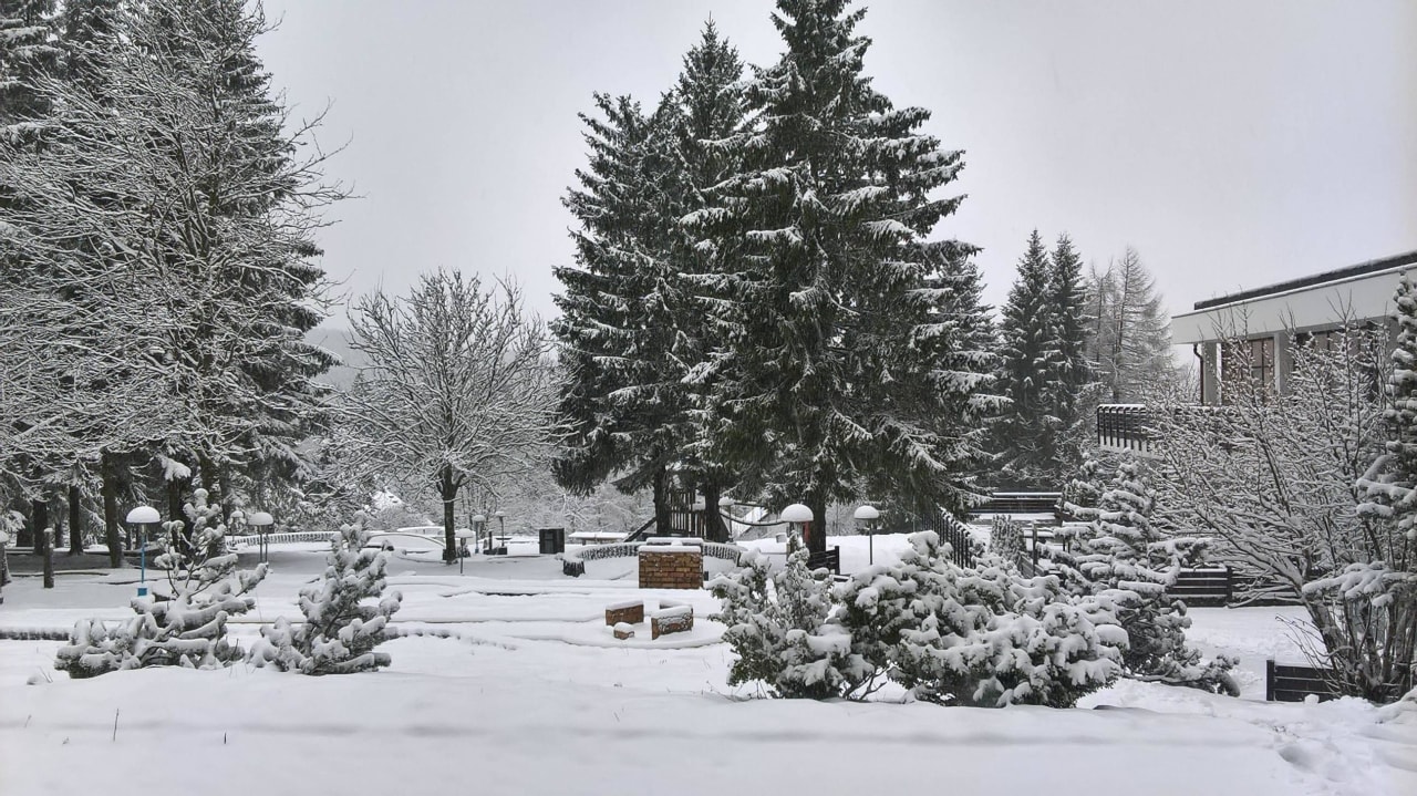 Draussen AHORN Panorama Hotel Oberhof