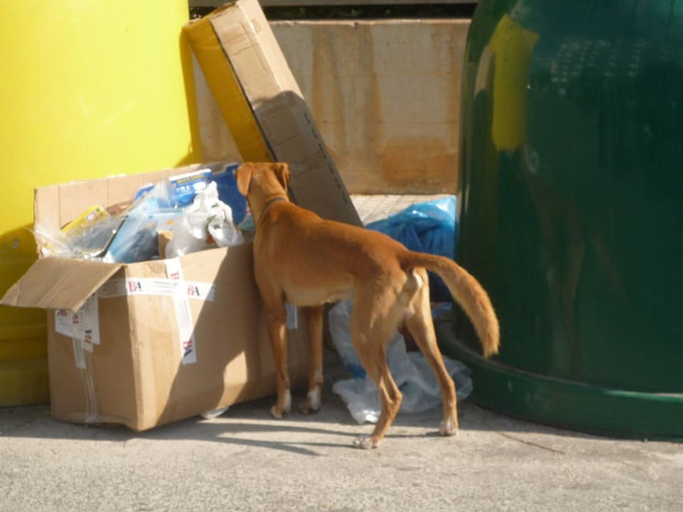 Der Weg zum Strand Bei Juan Playa Blanca