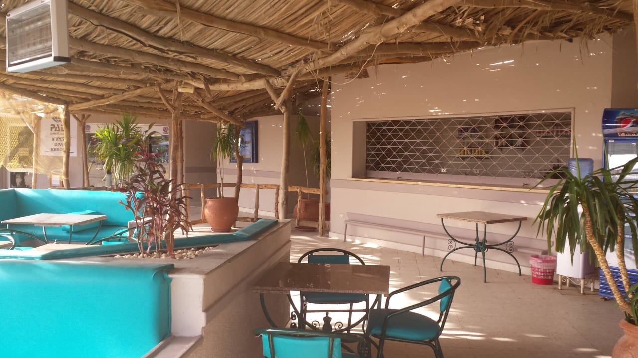 Dolphinbar im neuen Look Shams Safaga Resort