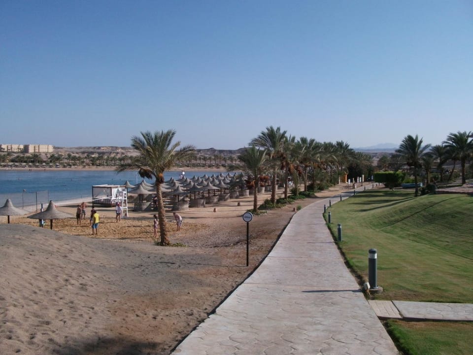 Blick auf den Hotelstrand Steigenberger Coraya Beach - Adults only