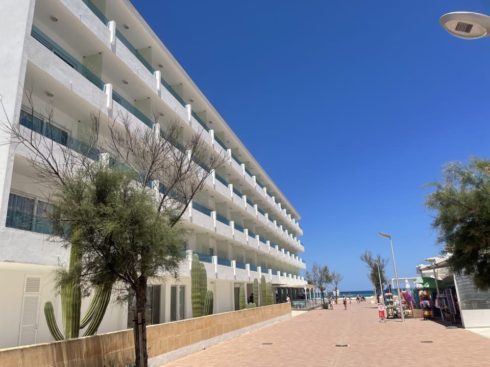 Sport & Freizeit The Sea Hotel by Grupotel - Adults only