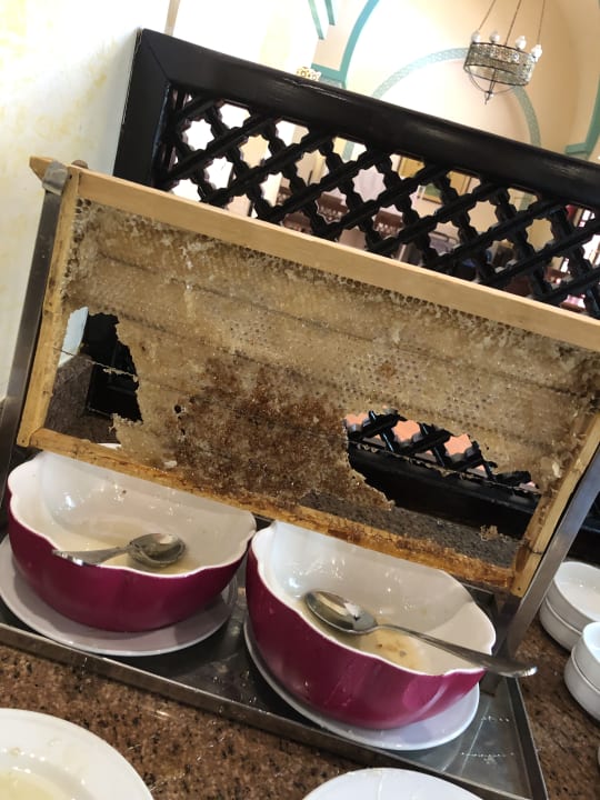 Gastro Steigenberger Coraya Beach - Adults only