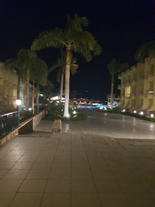 Gartenanlage Palm Beach Resort