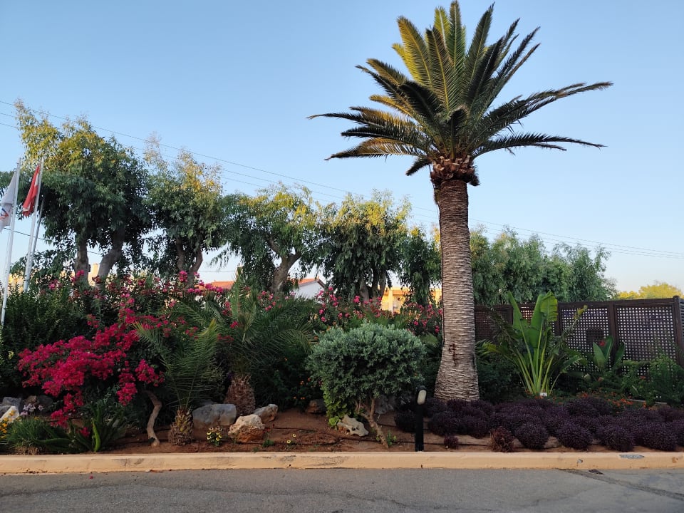 Gartenanlage Anissa Beach & Village