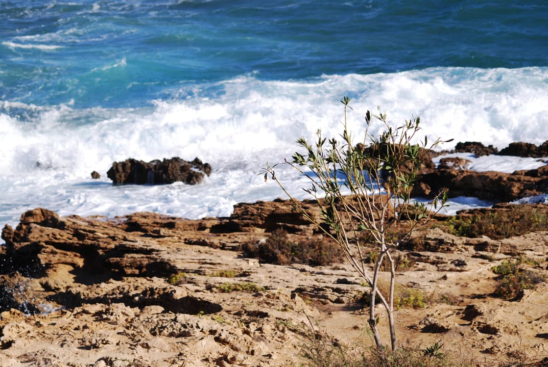 Strand Crystal Springs Beach Hotel