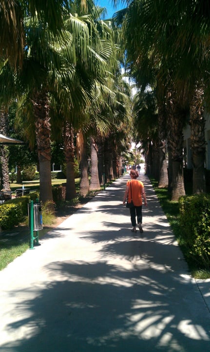 Weg zum Strand Hotel Royal Garden Beach