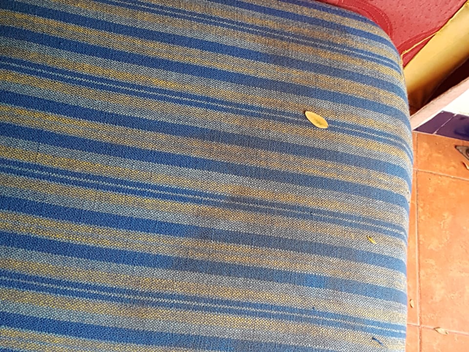 Gartenanlage Club El Pueblo Tamlelt