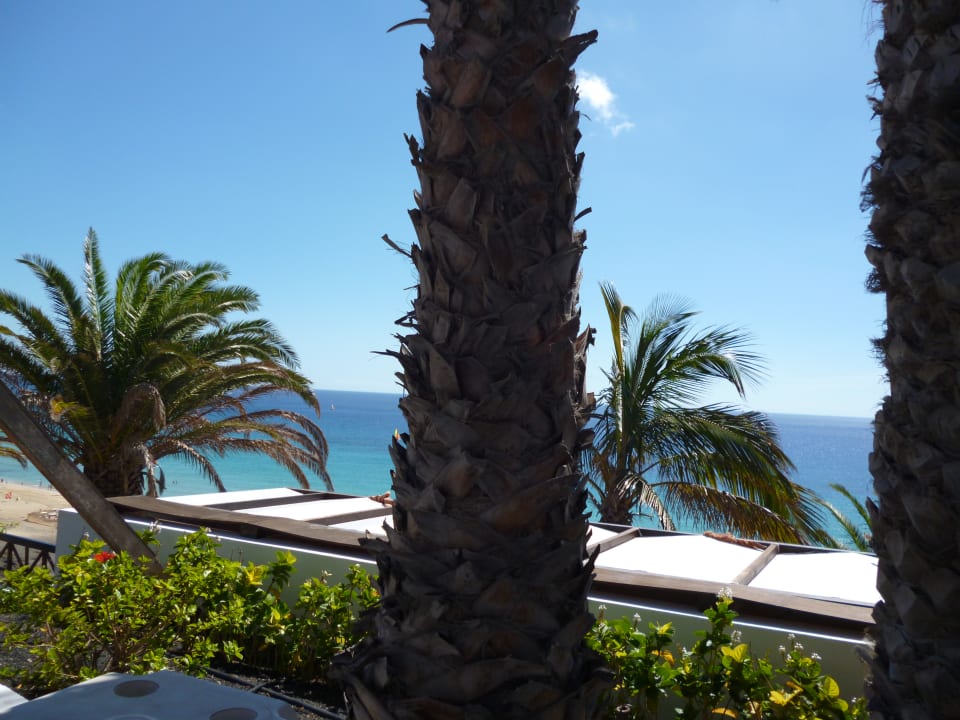 Ausblick Club Jandia Princess
