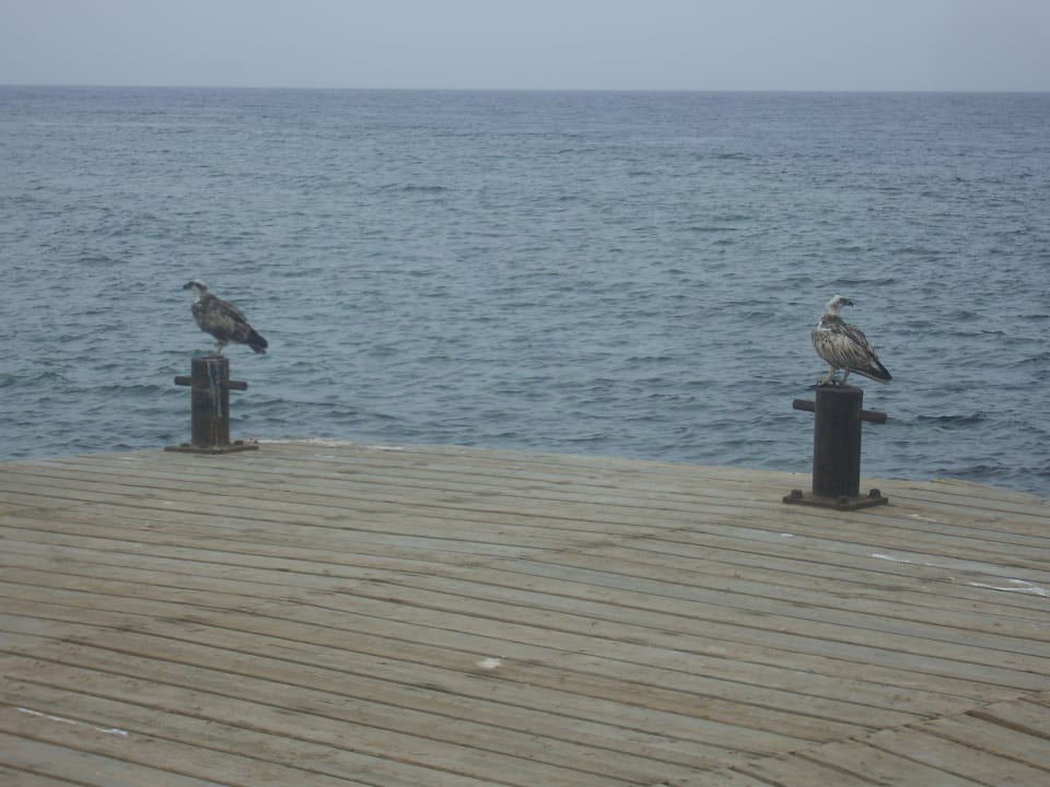 Strand Casa Mare Resort