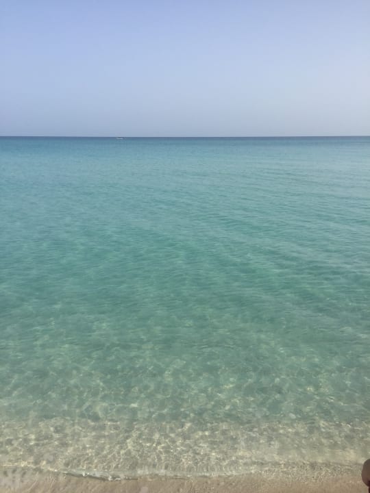 Strand Starfish Cuatro Palmas