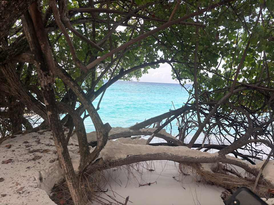 Gartenanlage Thulhagiri Island Resort