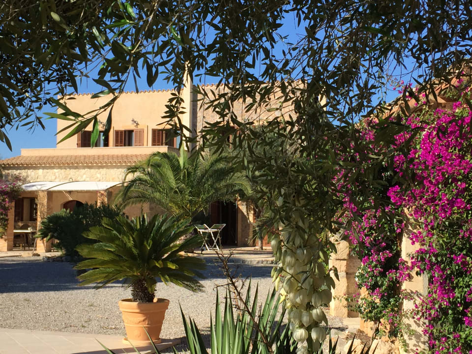 Außenansicht Finca S Olivar d Es Coscois