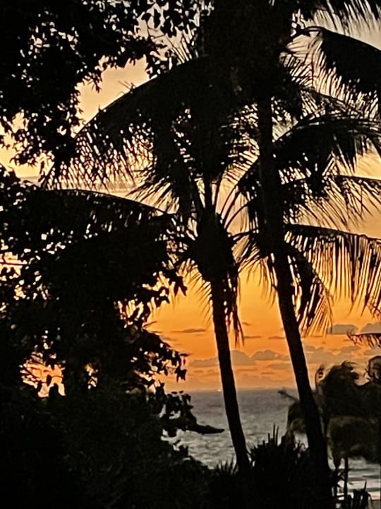 Ausblick Sandos Playacar Beach Resort