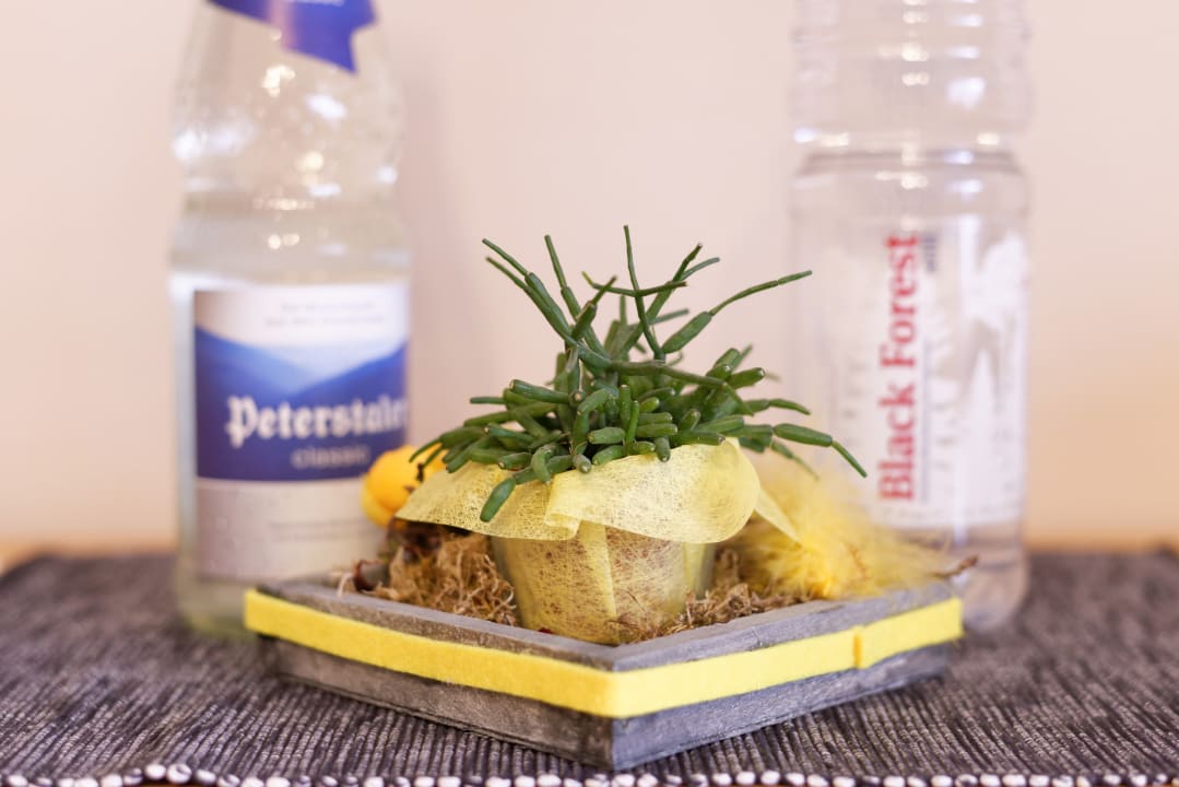 Zimmer Ferienwohnung Schwarzwaldsteig