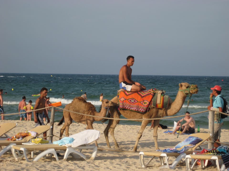 Strandverkäufer Hotel Marhaba Club