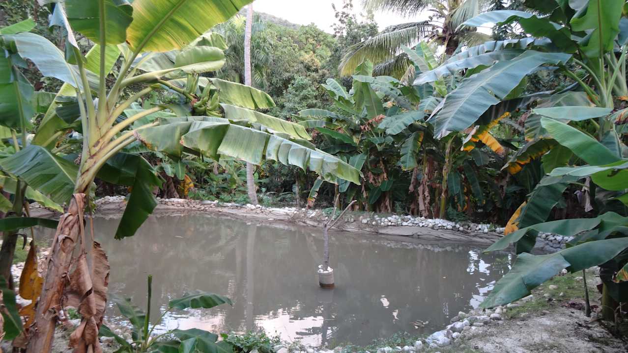 Teich Hotel Rancho Don Cesar