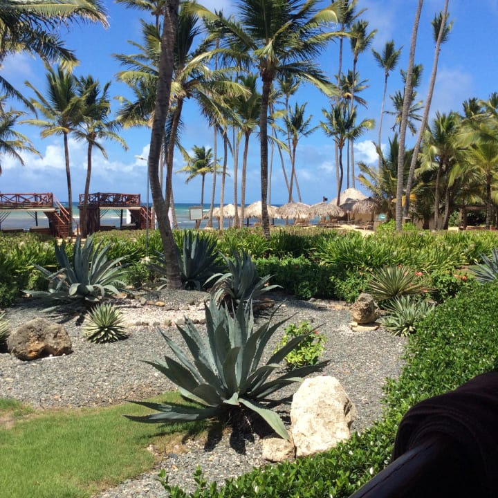 Außenansicht Wyndham Alltra Punta Cana