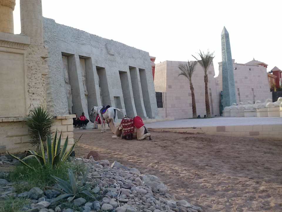 Das Arena Pickalbatros Alf Leila Wa Leila Resort - Neverland Hurghada