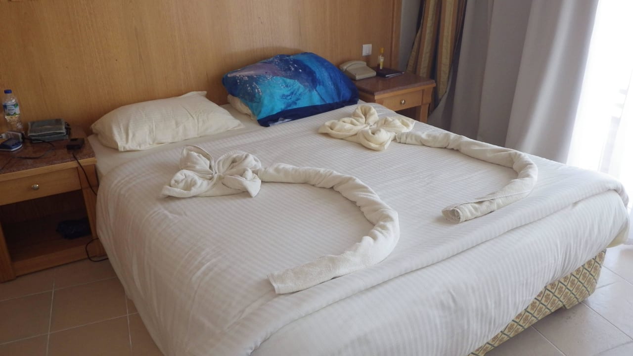 Vorletzter Tag Pickalbatros Dana Beach Resort - Hurghada