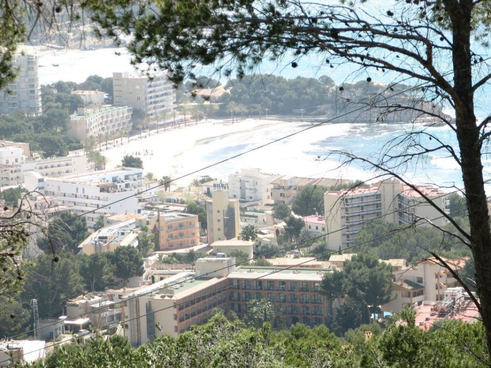 Panoramablick auf den Strand von Paguera Valentin Somni Hotel & Suites