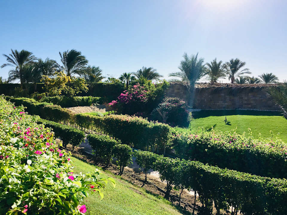 Gartenanlage Fort Arabesque Resort, Spa & Villas