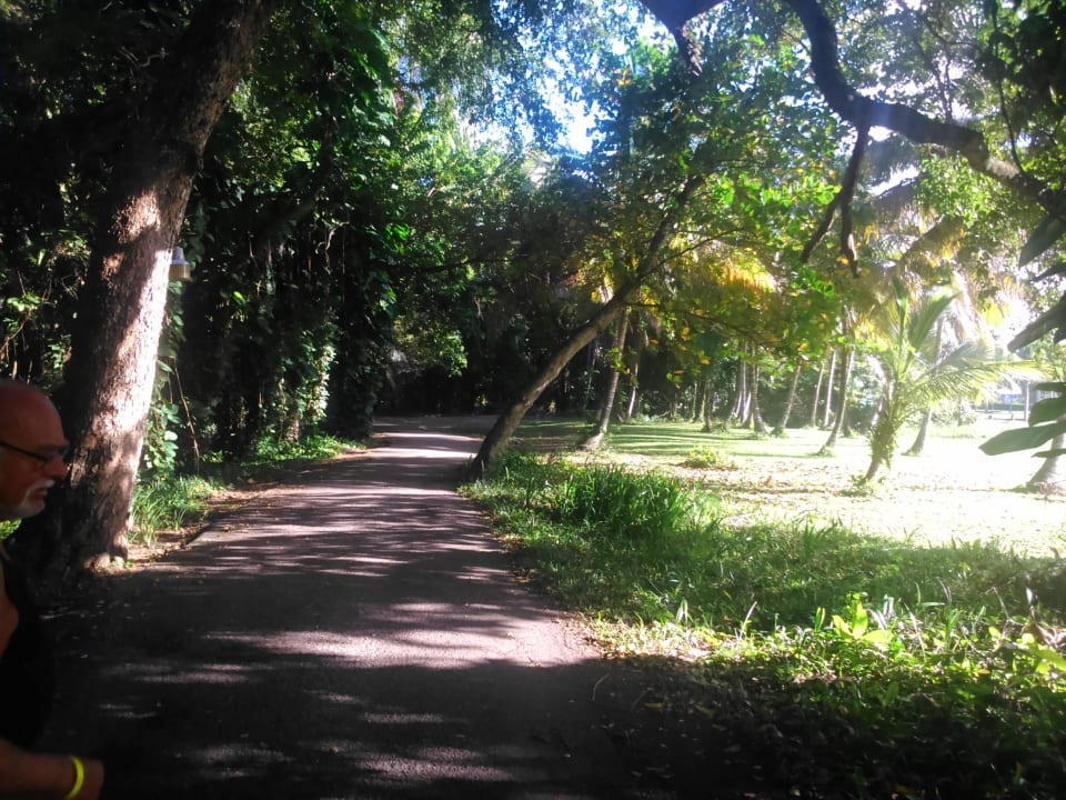 Weg zum Strand Puerto Plata Village