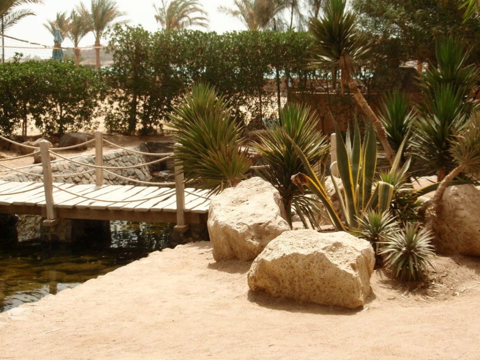 Anlage Three Corners Rihana Resort Deluxe