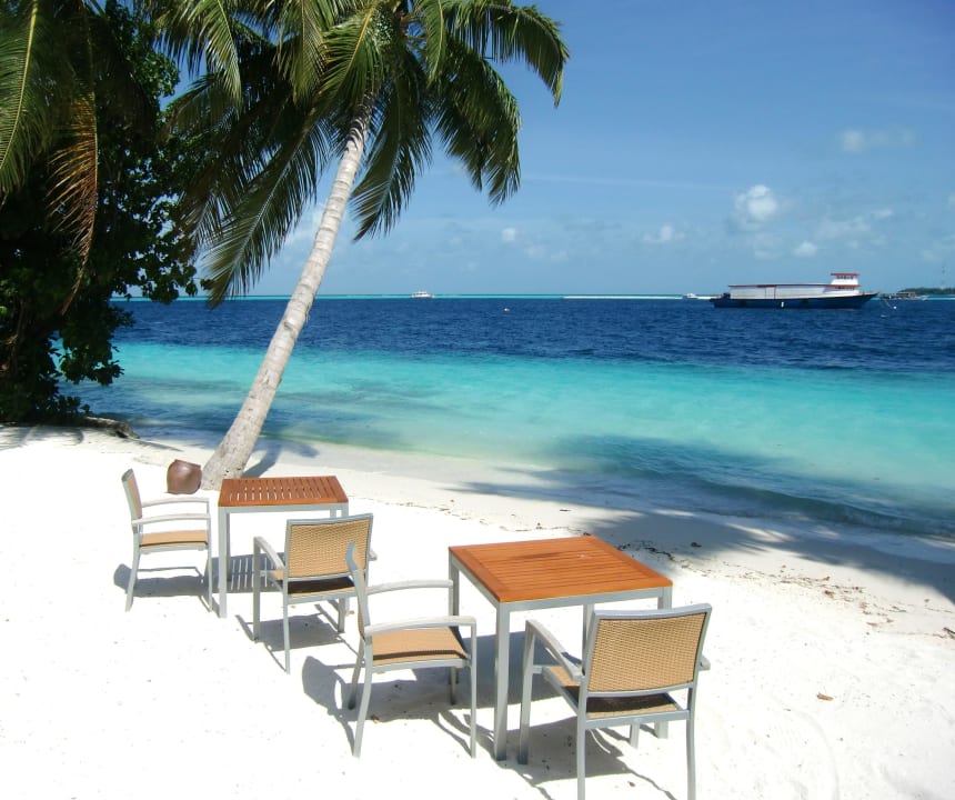 Restaurant  Vilamendhoo Island Resort & Spa