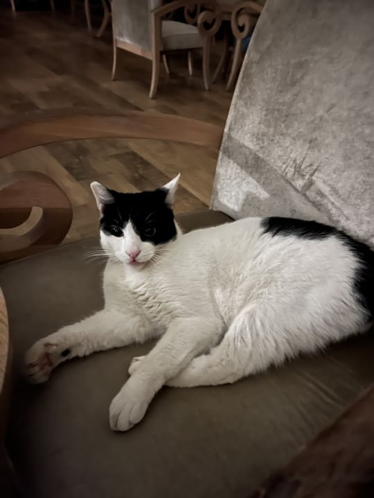 Sonstiges Well Palace Side