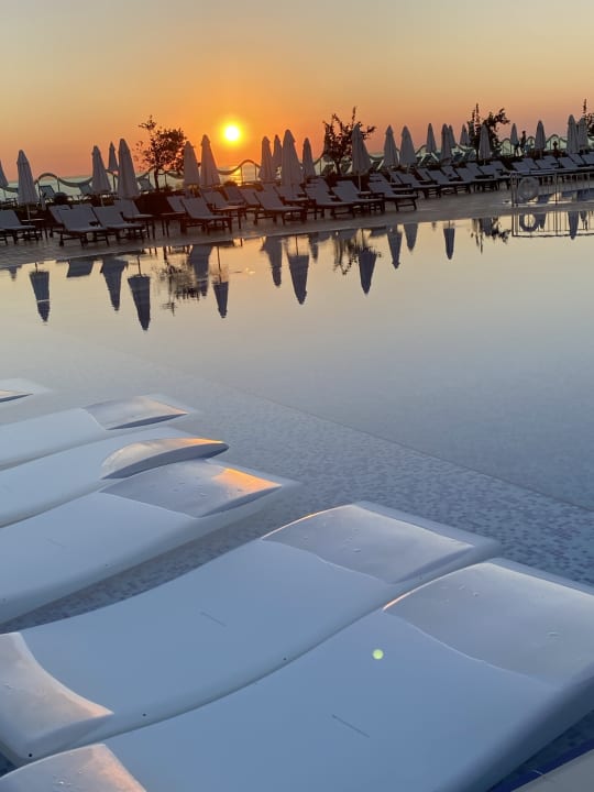 Pool Gold Island Selected