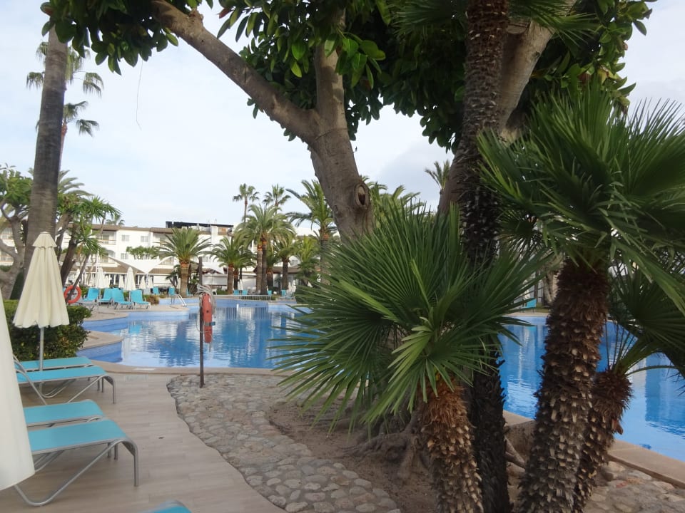Pool Alcudia Garden Aparthotel