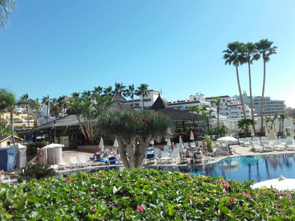 Basen Landmar Playa La Arena