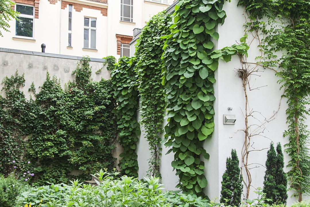 Hotel Garden Quentin Design Hotel Berlin