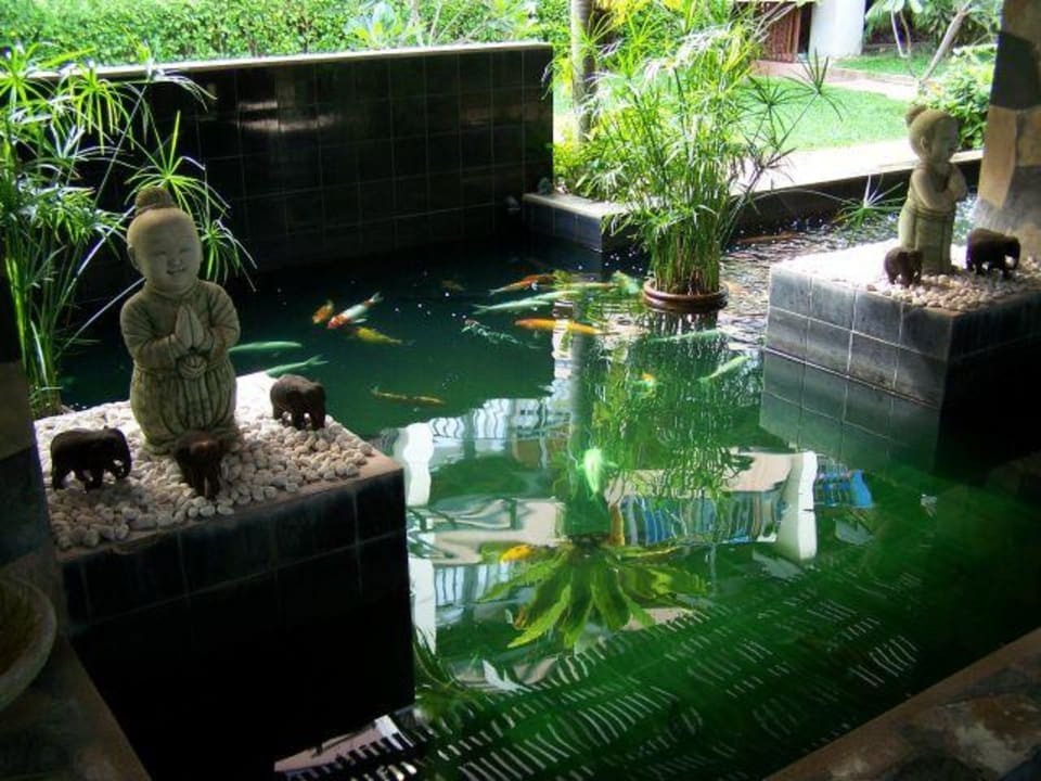 Kois Im Empfangsbereich Hotel Phuket Island View