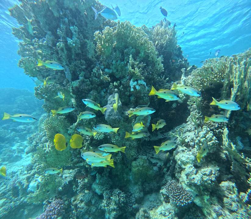 Strand Casa Mare Resort