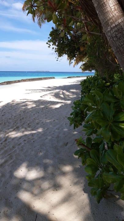 Strand Kuramathi Maldives