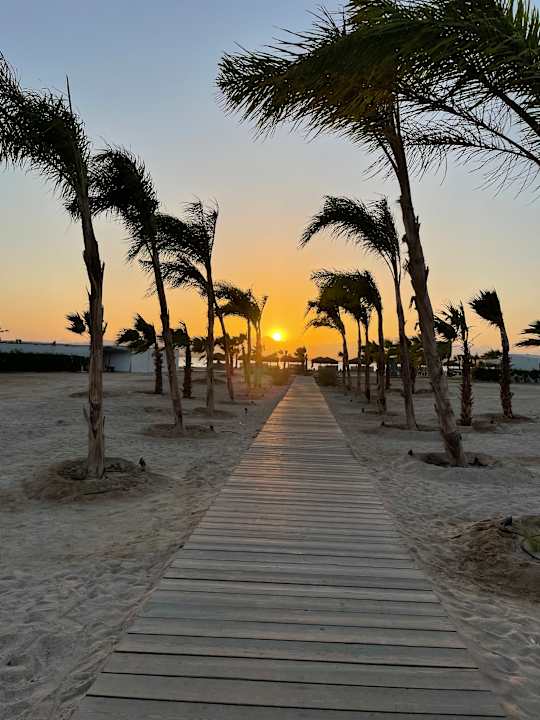 Strand The Kaktus Somabay