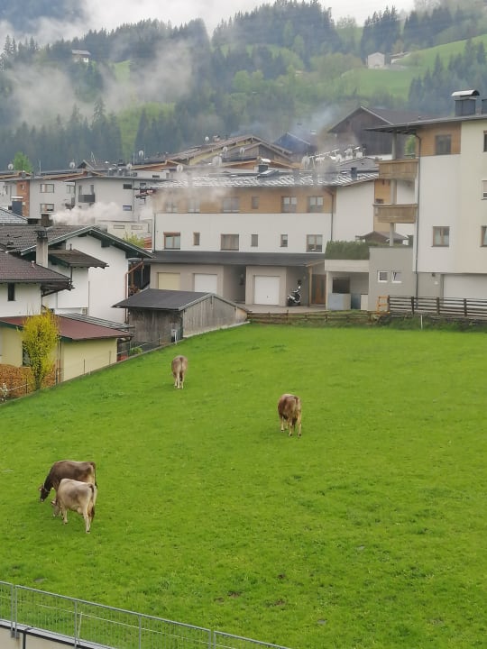 Ausblick Wohlfühlhotel Schiestl