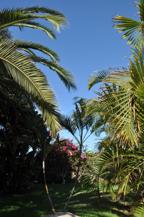 Gartenanlage H10 Costa Adeje Palace
