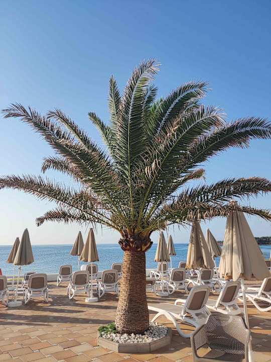 Pool Grupotel Aguait Resort & Spa - Adults only