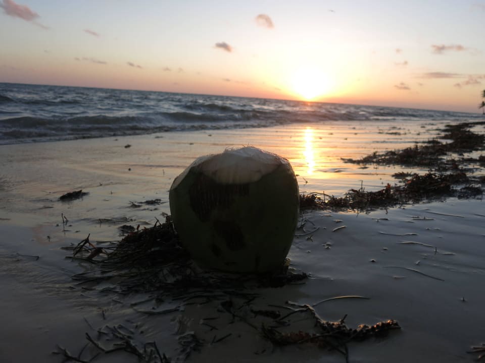 Sonnenaufgang um 6:35UHR Catalonia Punta Cana - All Inclusive