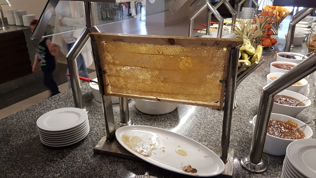 Gastro Jaz Aquaviva